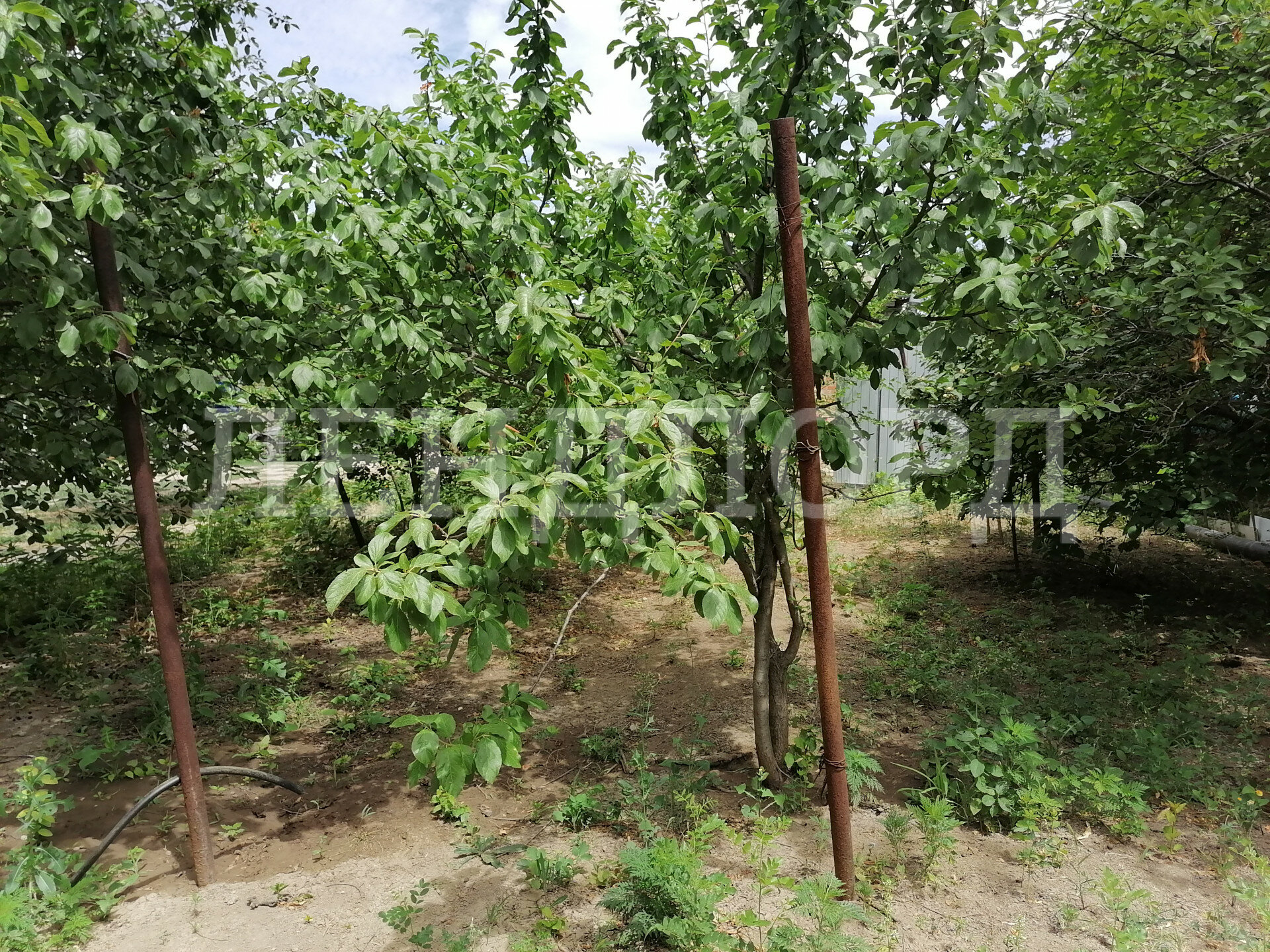 Дом с участком на продажу в Персиановском фото №19