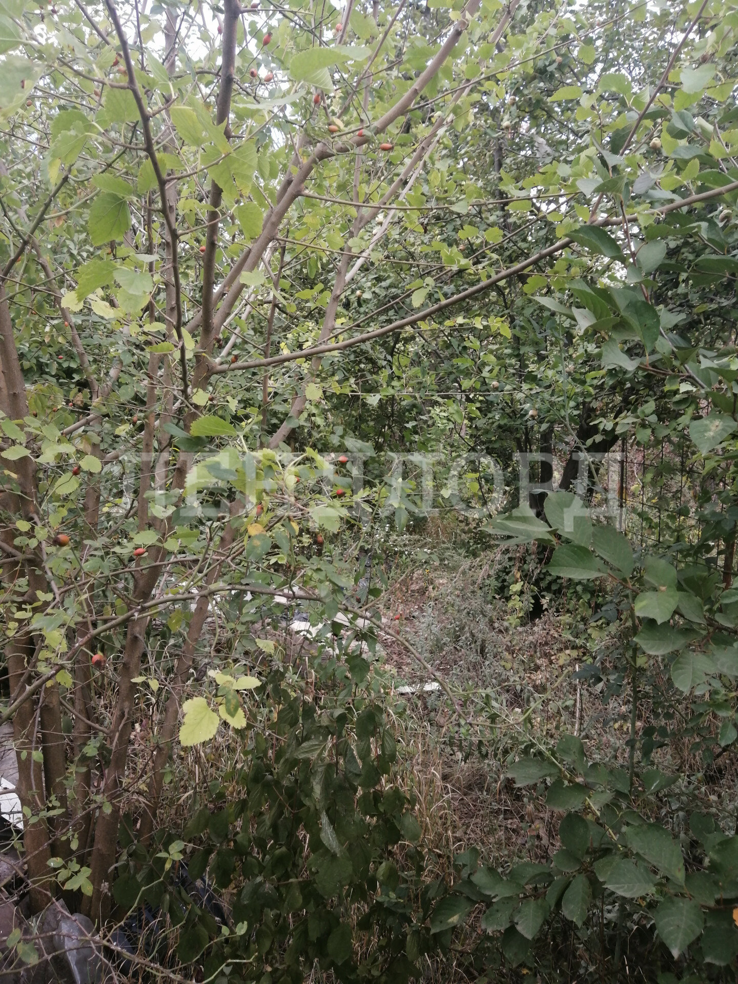 Участок на продажу в Ростове-на-Дону, 2-я Союзная фото №1