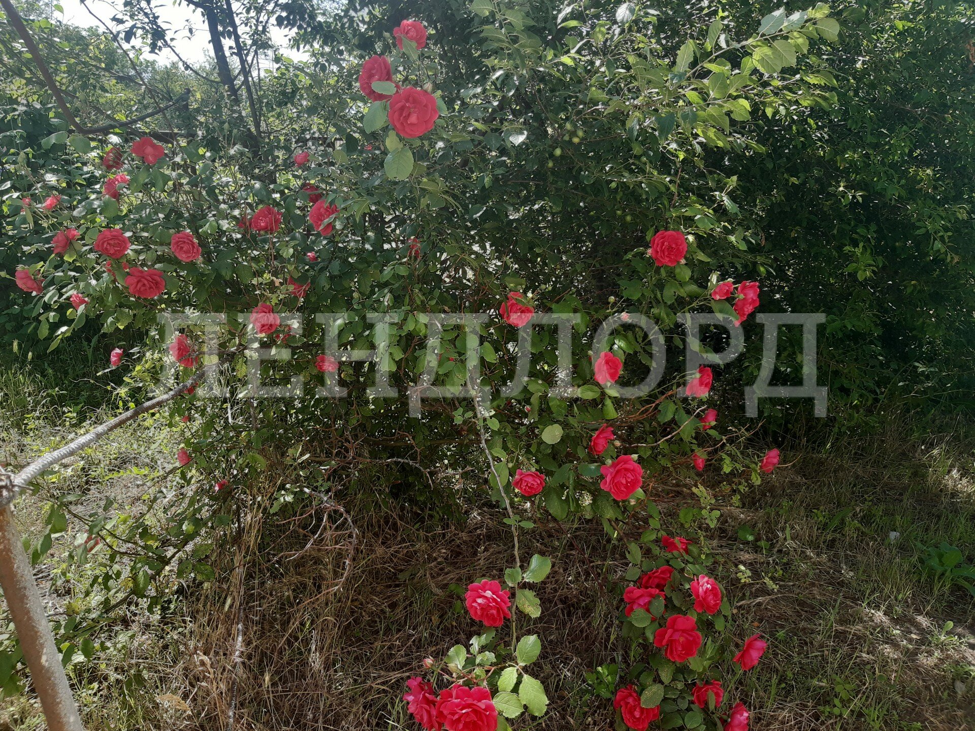 Дом с участком на продажу в Новочеркасске, Бирюзовая фото №7