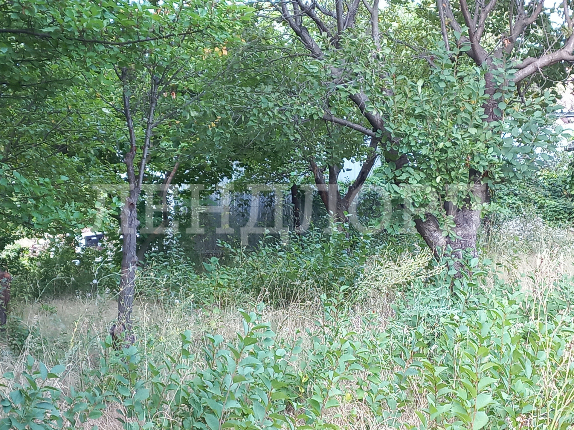 Участок на продажу в Ростове-на-Дону фото №3