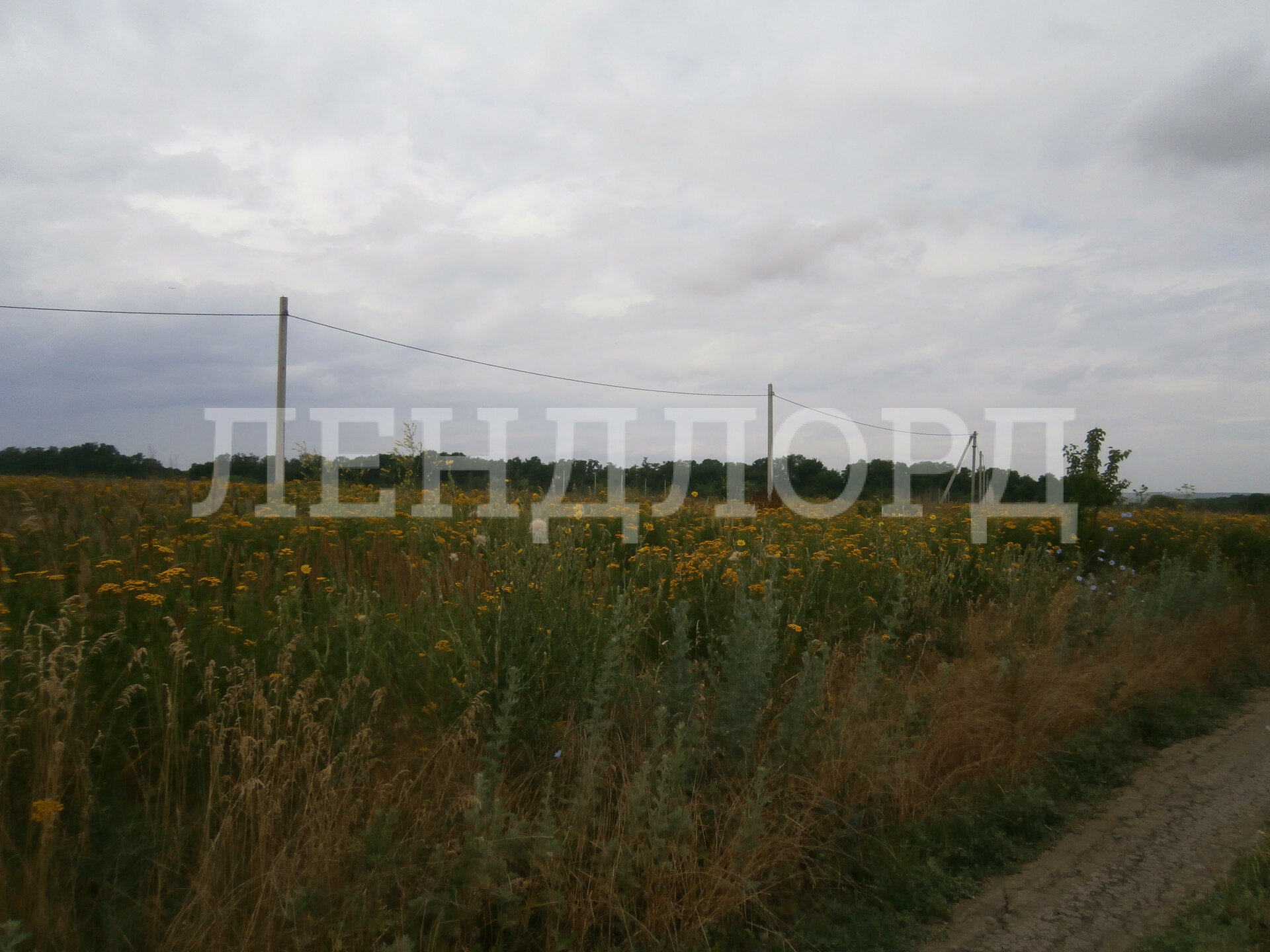 Хутор александровка. Сенцово Липецкая область. Село Сенцово Липецкой области. Д ключи Белоярский район. Деревня Маскалка Алапаевский район.