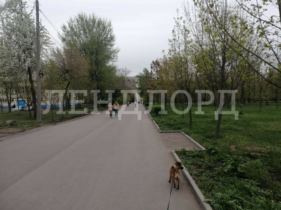 Квартира на продажу в Ростове-на-Дону, проспект Ленина, 105Г фото №13